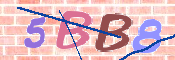 CAPTCHA-Bild