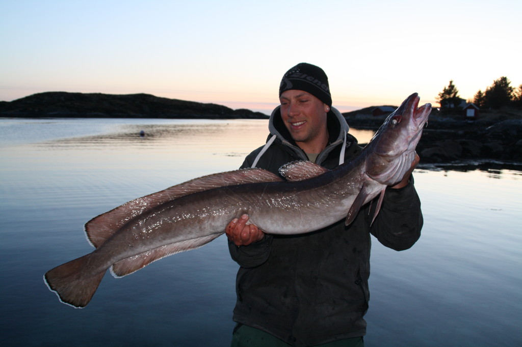 Leng Willkommen bei raubfischerdesnordens.de